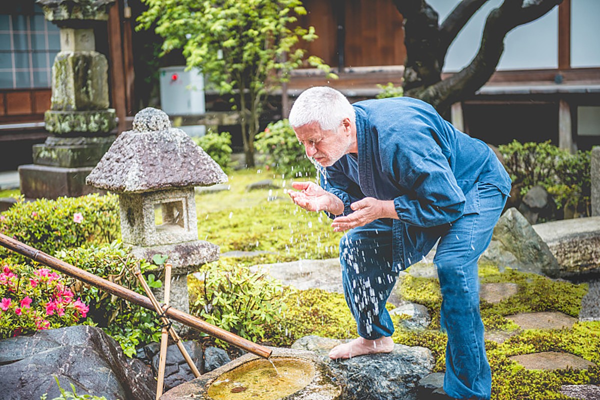 造園及養(yǎng)護.jpg